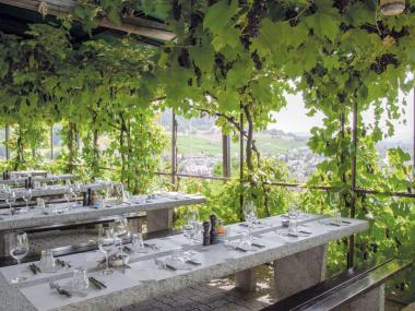 Winzerhaus Weiningen, Terrasse