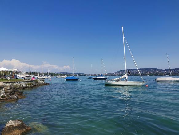 Zürichsee