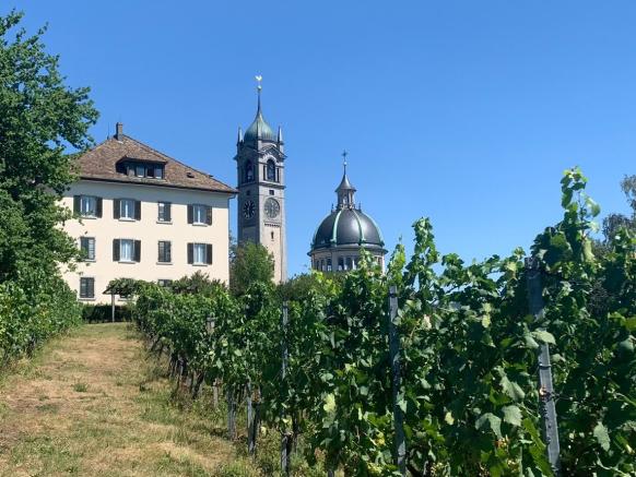 Weinwanderung, CVB Teamausflug