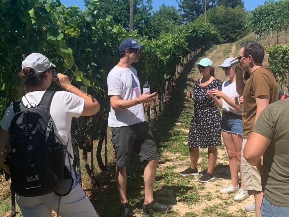 Weinwanderung, CVB Teamausflug