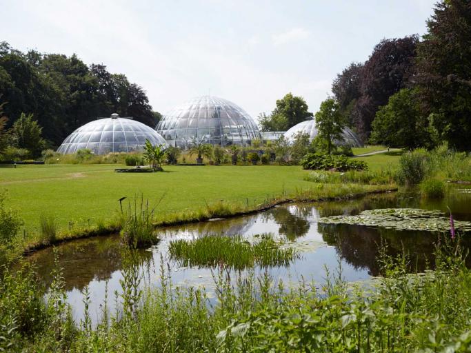 Botanischer Garten, Zürich