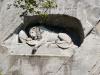 Lucerne – Lion Monument