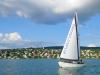 Upwind Sailing Zürichsee